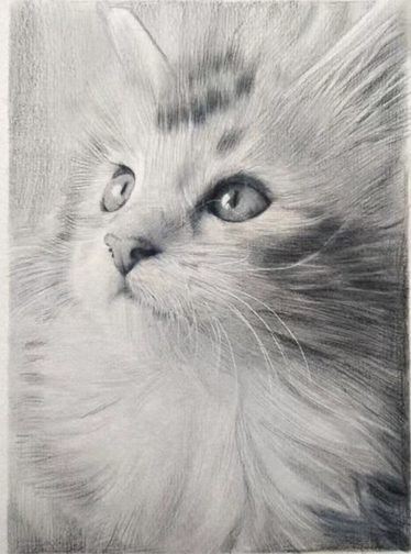素描作品參考